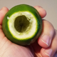 hand holding up the juiced lime, with a hole in one end through which the hollowed-out interior is visible